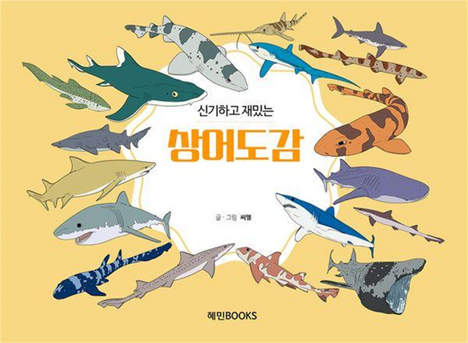 haeminbooks 新奇有趣的鯊魚圖鑑