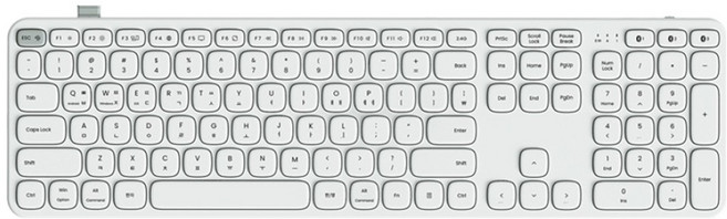 엑토 저소음 사무용 유무선 블루투스 키보드, 세이지 그레이, B608, 제조사축