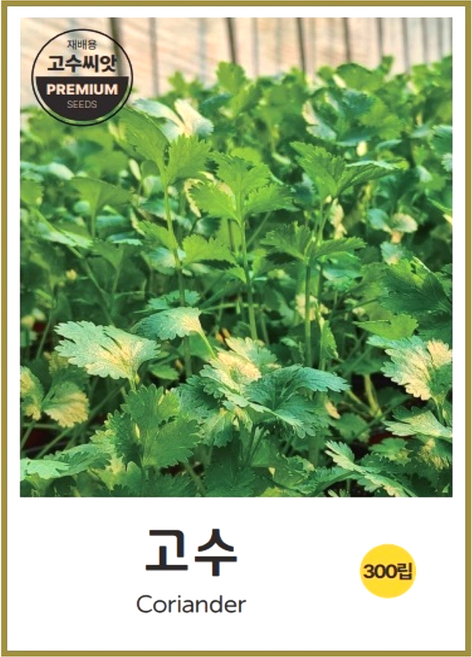 고수씨앗 300립, 1개