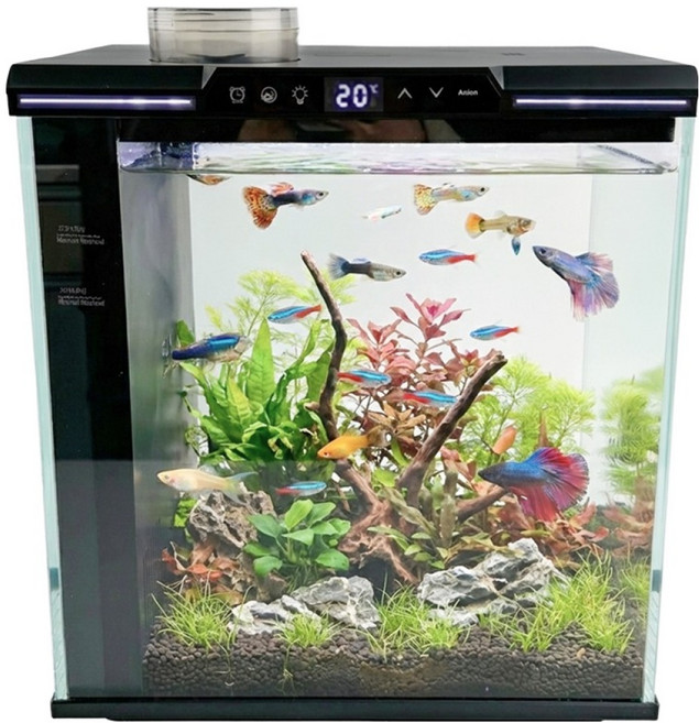 아마존 아쿠아원 스마크 일체형 어항 21L AMZ-300E, 블랙, 1개