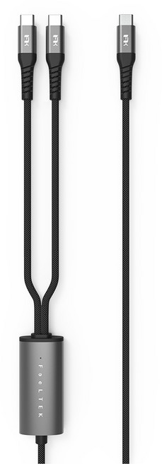 FeeLTEK Gemini USB-C-Type-C充電線 一轉二智慧分流傳輸 100W, 黑色, 1個, 150cm