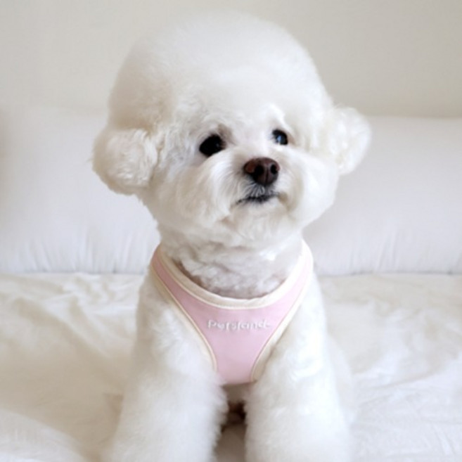 PETSLAND 狗狗抱抱胸背帶