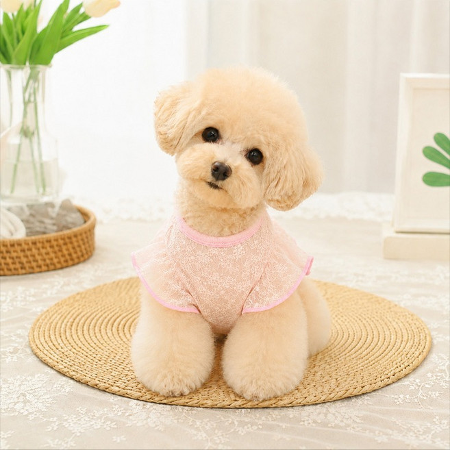 픽앤펫 마카롱 프렌치 레이스 하네스, 핑크, 1개