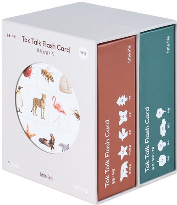 LittlELifE Tok Tok 單字卡組 食物 交通工具 物品