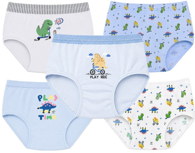 DING DONG DANG KIDS Dino Adventure 無螢光純棉三角內褲5件組 DKBP097