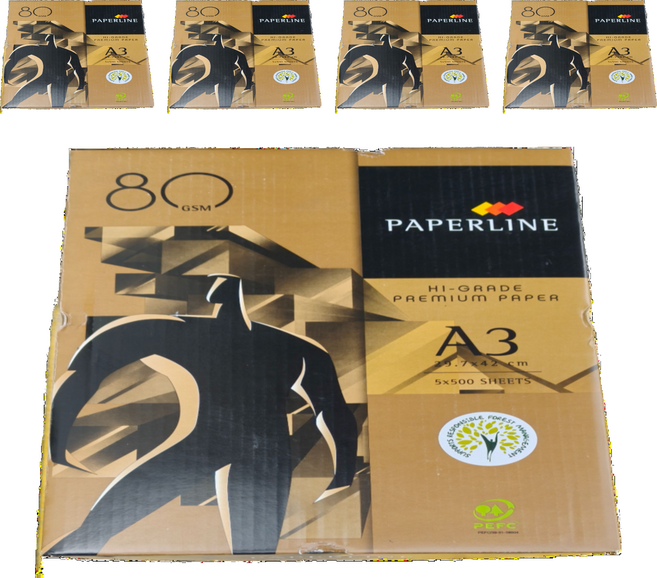 PAPERLINE 金牌 多功能影印紙 80gsm 500張, 5包, A3