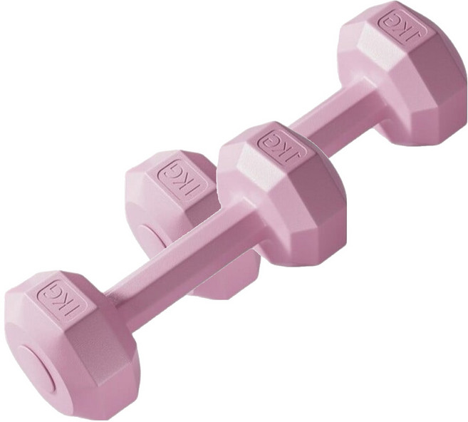 코레시스 예쁜 파스텔톤 홈트용 아령 핑크, 2개, 1kg