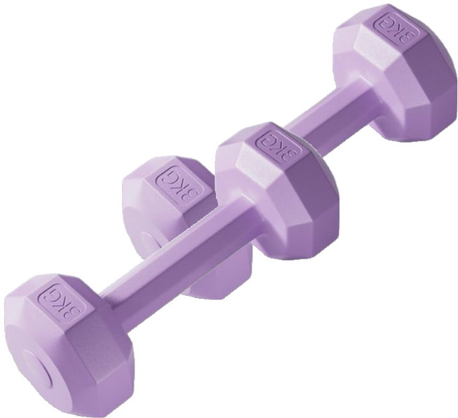 코레시스 예쁜 파스텔톤 홈트용 아령 퍼플, 2개, 3kg