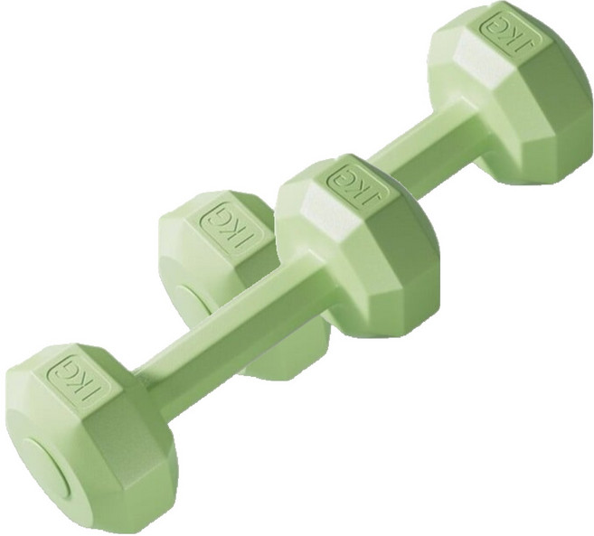 코레시스 예쁜 파스텔톤 홈트용 아령 그린, 2개, 1kg
