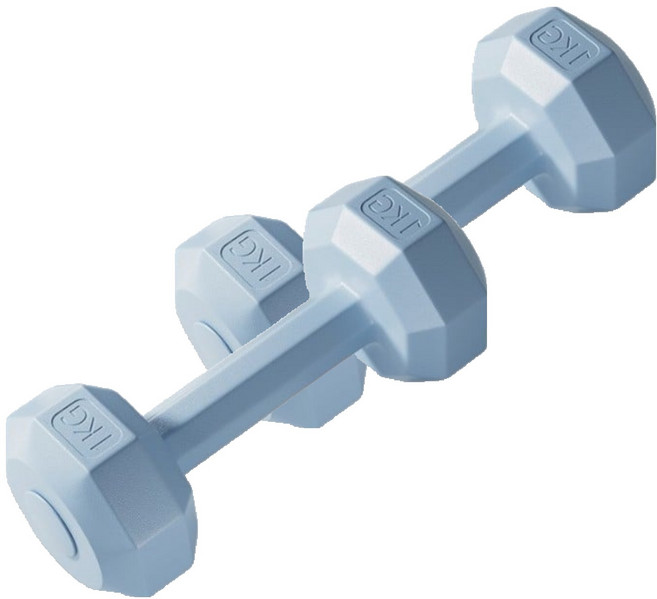 코레시스 예쁜 파스텔톤 홈트용 아령 블루, 2개, 1kg