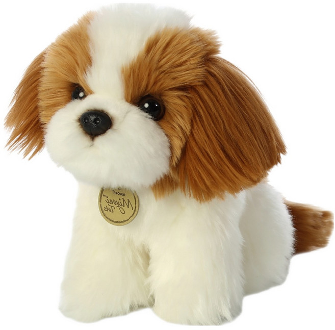 Miyoni 西施犬, 混合色, 1個, 19cm