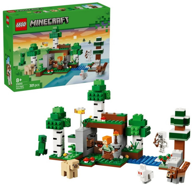 LEGO 21593 當個創世神 第一夜冒險 First Night Adventure, 1套