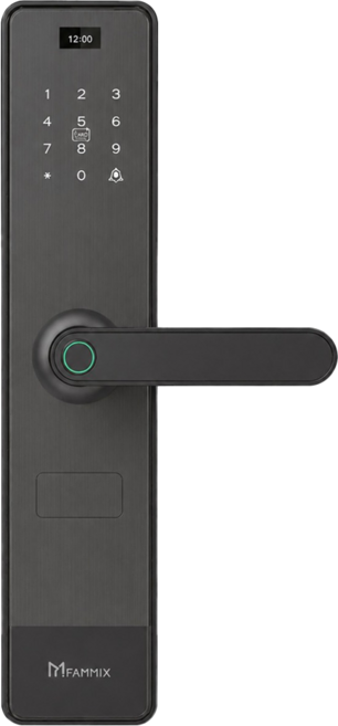 FAMMIX 菲米斯 六合一把手式電子鎖/門鎖 流光黑, SAFER-2, 建議由專業人員安裝