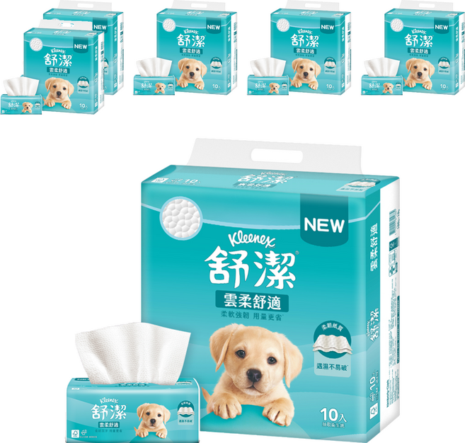Kleenex 舒潔 雲柔舒適抽取衛生紙 100抽 83055, 6套, 10個裝