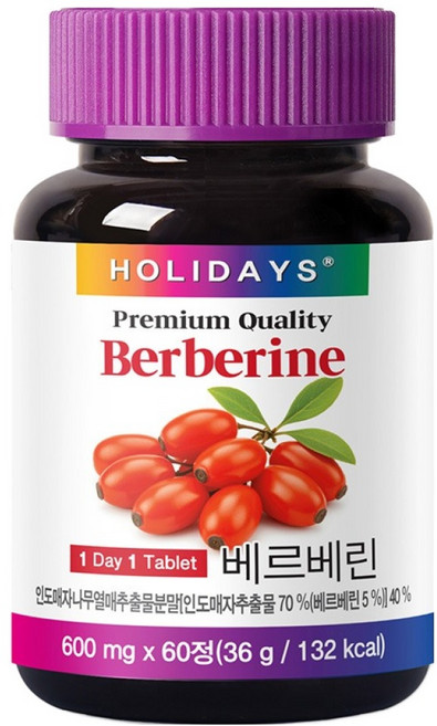 홀리데이즈 프리미엄 베르베린 36g, 1개, 60정