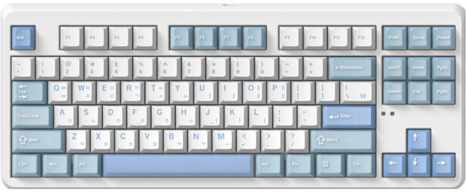 에프엘이스포츠 가스켓 마운트 블루투스 유무선 기계식 텐키리스 키보드, Snow Blue, FL-ESPORTS X80, 리치베리축