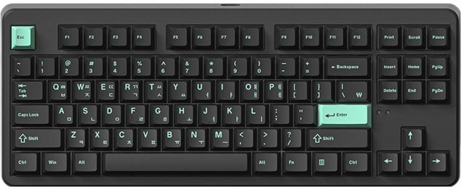 FlEsports 8K 快速觸發 有線 磁軸 鍵盤 Ivy軸, 薄荷黑, NX87HE, 製造商軸