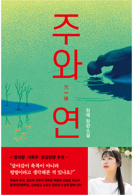 주와연 완벽 가이드 — 선택 방법부터 주의사항까지