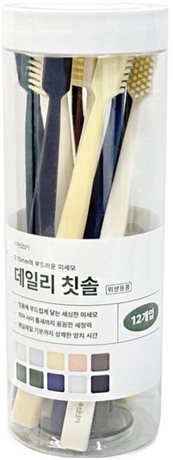 영스타 데일리 칫솔 12p 세트, 1세트, 12개입