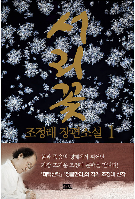 7위 - 서리꽃 1, 해냄출판사, 조정래