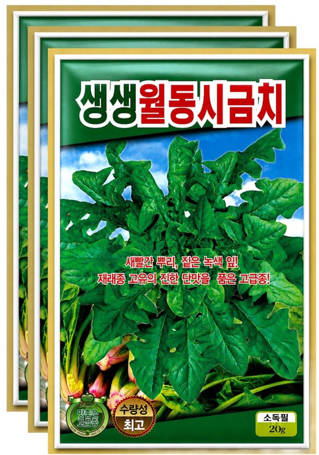 씨앗팜 월동 시금치 씨앗 20g, 3개
