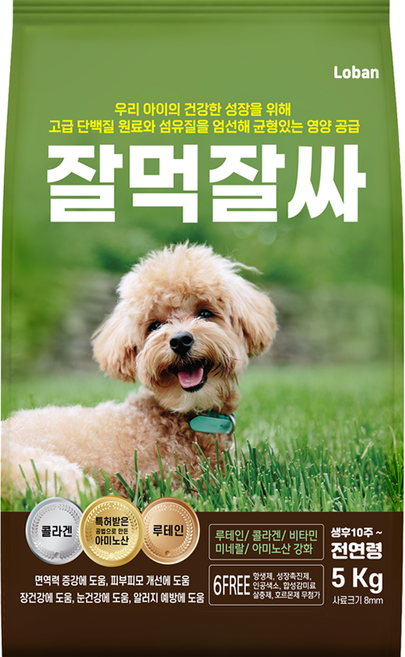 잘먹잘싸 6free 강아지 사료 대용량, 연어, 5kg, 1개