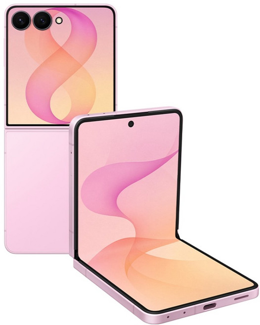 삼성전자 Galaxy Z Flip8 자급제 SM-F776N, 핑크, 256GB