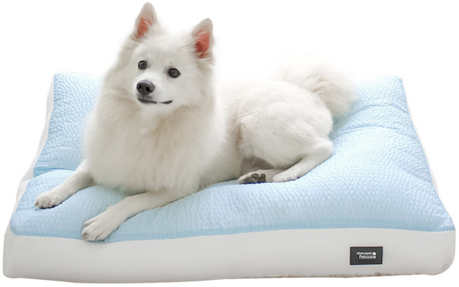 초코펫하우스 강아지 쿨 3D 에어매쉬 와플 방석, 블루, 1개