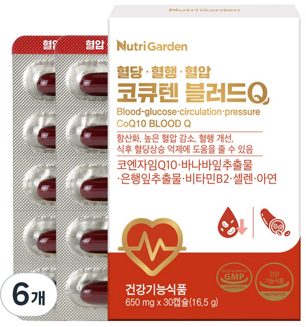 뉴트리가든 코큐텐 블러드Q 16.5g, 6개, 30정