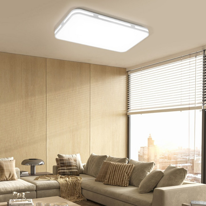 WONHA LED Zai 客廳天花板燈 可調光 附遙控器 50W 無閃爍, 白色 + 晝光色