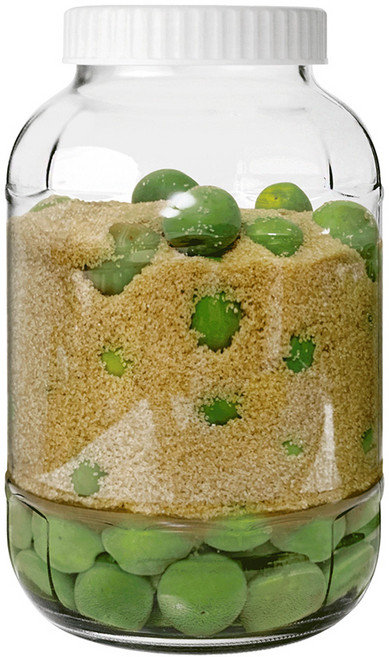 경성리빙테크 과실주 담금주병 랜덤발송, 5L, 1개