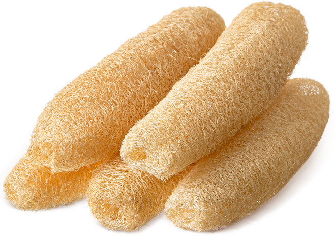 코멧 건강한 천연 수세미, 5개입, 1개