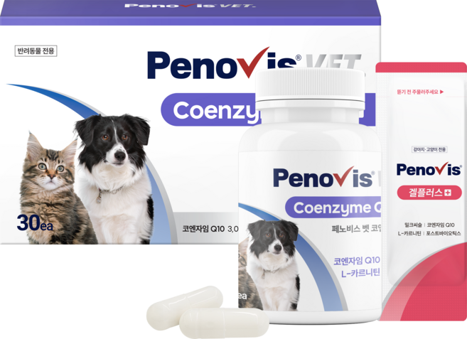 페노비스 벳 강아지 고양이 심장 영양제 코엔자임Q10, 1개, 투약보조, 30회분