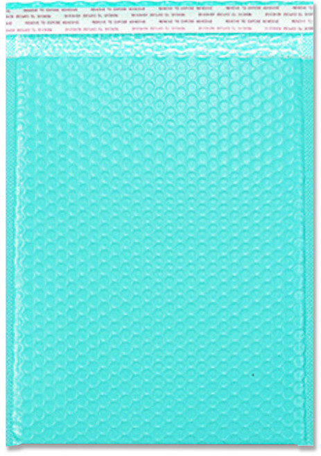 택배 안전봉투 민트, 30개