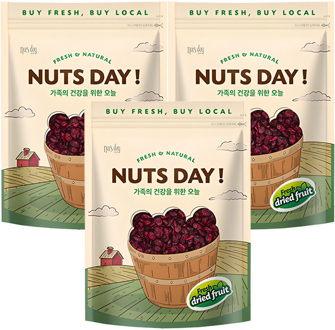 넛츠데이 건크랜베리, 600g, 3개