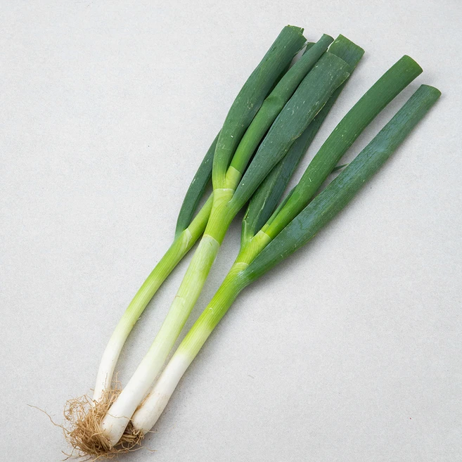 국내산 무농약 대파, 300g, 1개 - 쿠팡