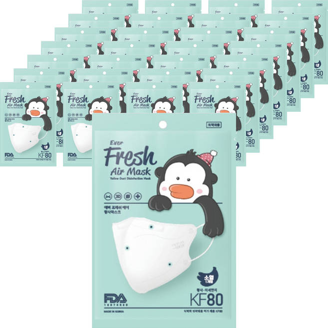 에버프레쉬 에어 황사 새부리형 마스크 소형 KF80, 1개입, 40개, 화이트