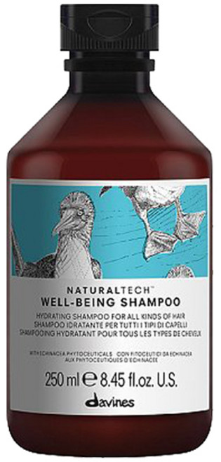 다비네스 내추럴텍 웰빙 샴푸, 250ml, 1개