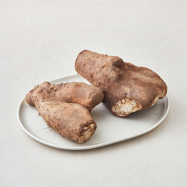 국내산 산마, 1kg, 1개