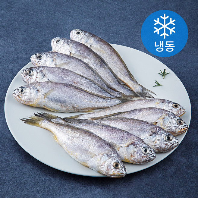 초록바다 영광굴비 (냉동), 0.8kg(10미), 1개