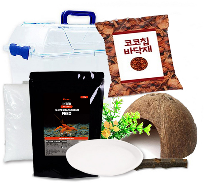 로라펫 소라게 키우기 세트, 혼합색상, 1세트