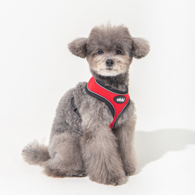 올치 야간 빛 반사 콤비 하네스 A 강아지 산책 목줄, 레드, 1개
