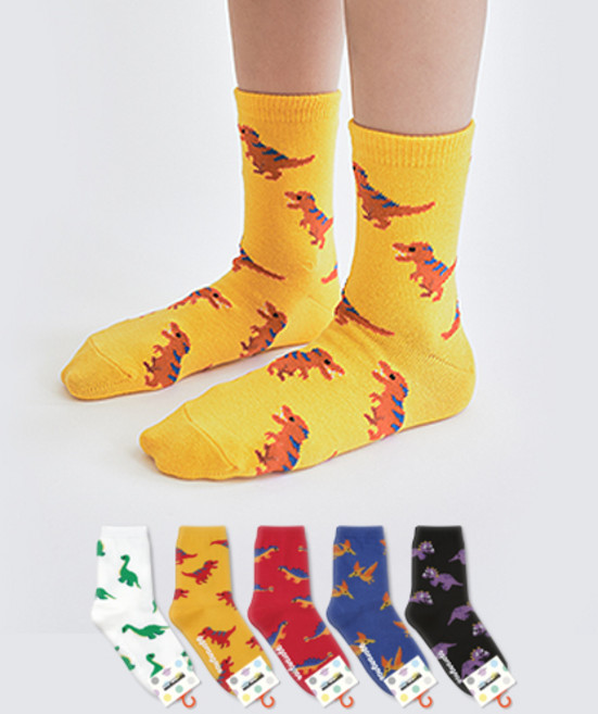 GGRN 아동용 공룡 패턴 양말 5족 세트