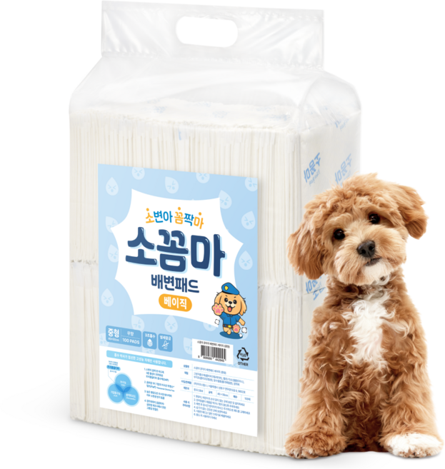 소꼼마 소변아 꼼짝마 냄새잠금 강아지 배변패드 베이직 무향, 100개입, 1개