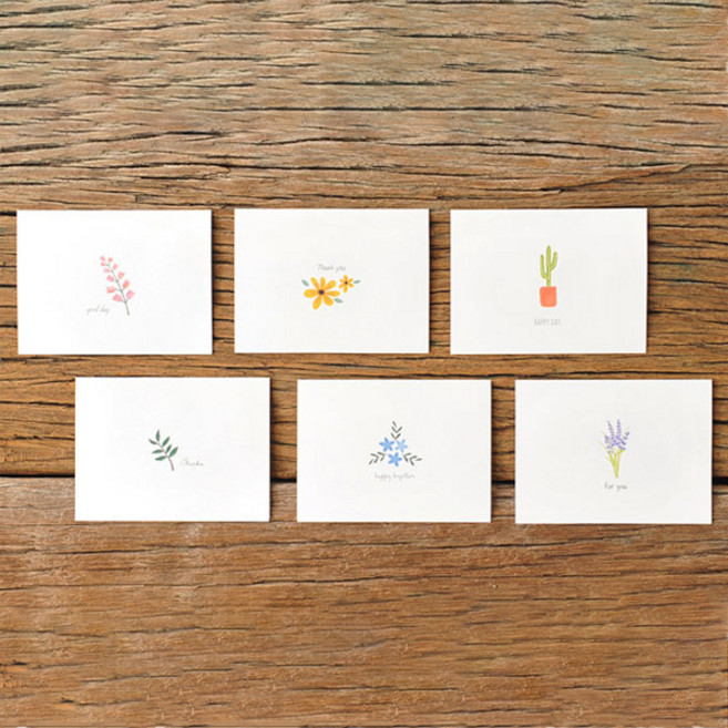 왈가닥스 리틀가든2 미니카드 6개입, 화이트, 1세트