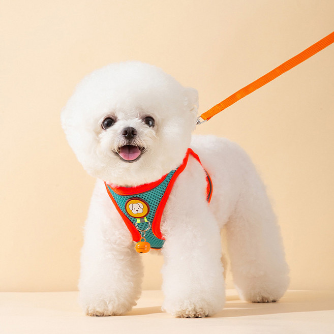 퍼피드림 강아지 푸망 파스텔 하네스 + 리드줄 세트 10008, 오렌지, 1세트
