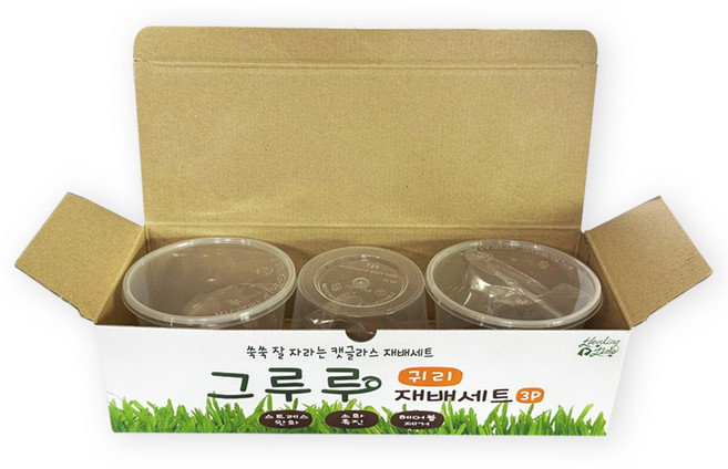힐링타임 그루루 캣글라스 재배세트 3p, 귀리, 1세트