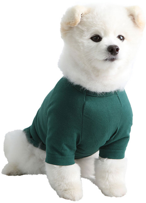 럭키페터 강아지 소형견 대형견 무지 티셔츠, 그린, 1개