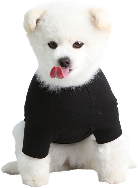 럭키페터 강아지 소형견 대형견 무지 티셔츠, 블랙, 1개