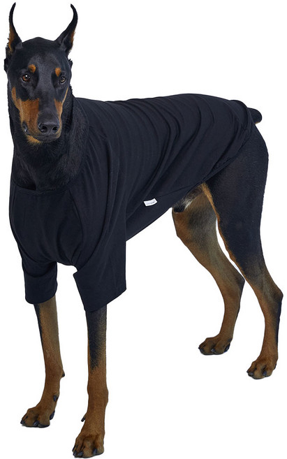 럭키페터 강아지 무지 티셔츠, 블랙, 1개